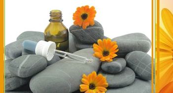 Behandlungsmöglichkeit mit Bachblüten / Bachblütentherapie - Naturheilen-Pur in Düsseldorf